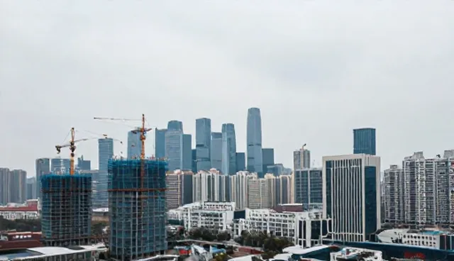 技术服务适用条件与限制,明确使用场景